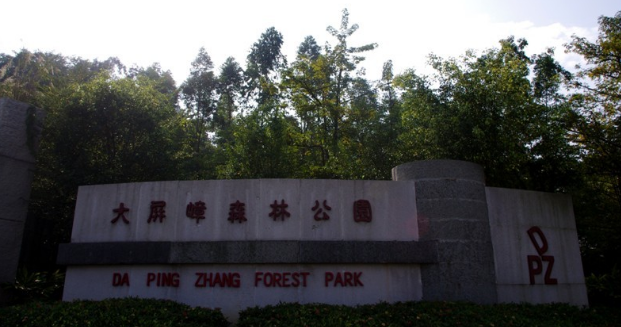 公司組織員工開展秋游活動